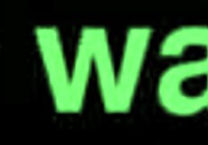 artemisia love says, 'watch my wet pussy play with these toys up close'