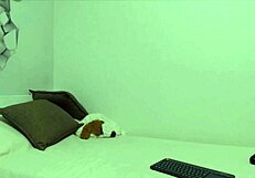 big ass bbw teasing and dancing for young 18+ guys