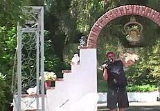 pretty brunette in lingerie vs hot outdoor sex with big dick