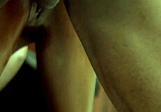 नाइजा लड़की के साथ कोच पर डॉगी स्टाइल