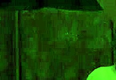 Sst - Getting Some at the Triangle Club