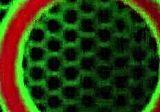 Milf Masseuse Tanya Tate Gives Sensual Cunilingus and Anal Fucking to Orgasm