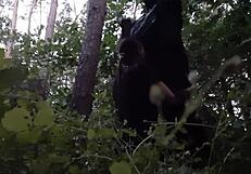 I Fuck My Stepsister’s Mouth in Woods, Hiding from Boyfriend!