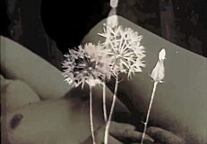 Vintage lesbian women eating pussy in threesome