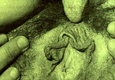 Vintage lesbian women eating pussy in threesome