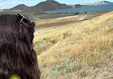 Stranger fucked my ass in the mountains! Public anal thrill!