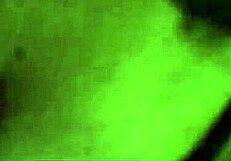 ItsKittyLove explores new roles in amateur couple play