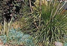 maturemons reveals my secret garden for all to see