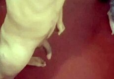 i love showing off all my personal photos from different angles