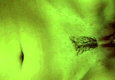 Amateur couple gets wild with skinny sexy petite 18+ in homemade action.