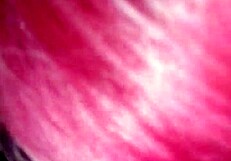 Petite Escort Ariadna69 Reveals Her Vagina