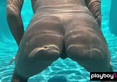 Naked Ebony Milf Ana Foxxx Fingers Her Hairy Black Pussy Under The Water