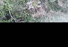 Met Short Chubby Sexy Girl At Nudist Beach