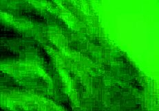 i love sporty mistress sofi choking slave while he licks her sweaty socks