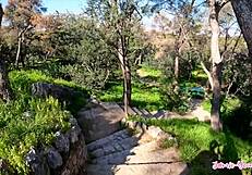 Cute Girlfriend Gets Fucked Hard on Athens Vacation Vlog