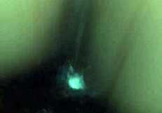 Ebony quickie anal doggystyle creampie with bent over amateurs