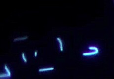 Bunny Madison's Shaved Pussy Spread For Derrick's Cunilingus And Face Fucking!