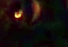 I woke up craving deepthroat blowjob