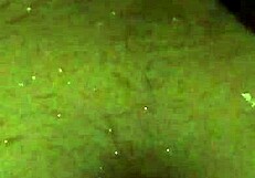 Piss in Bathtub Pissen in der Badewanne