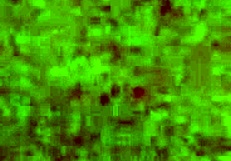 I woke up craving deepthroat blowjob