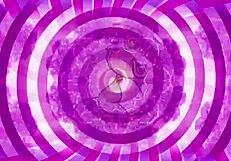 cei 102 teaser clip for quick preview