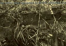 Dark Lantern Entertainment Unveils Stunning Hairy Beauty In Retro Beastly Action!