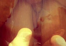 samantha slater teasing each samurai with her sensual pleasures