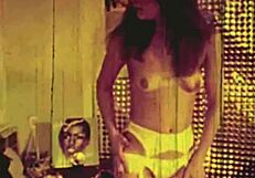 oh the wonderful world of vintage pornography threesomes with hairy pussies!!