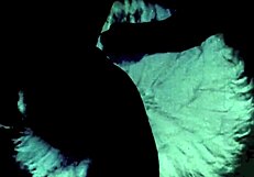 Vintage drawings featuring erotic and hairy themes from antique collections