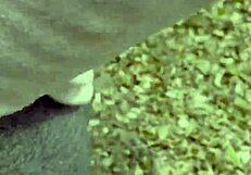 Stop Hiking And Cum Inside Me Outdoor Sex In A Public Park With Doggystyle Orgasm