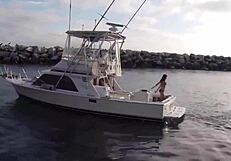 Sexy Brunette Girl In Bikini On Boat With Super Shark, Showing Off Her Curves In Detailed Scenes.