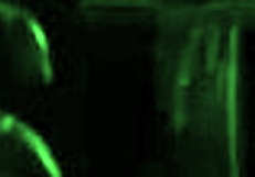 अरे, जॉइन कर इस एनल फिटनेस वर्कआउट को भीड़ ने हार्ड बैंगिंग के साथ!