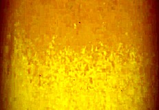 Oh wow, they lick my asshole and suck my pussy so deliciously!