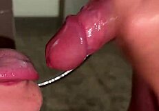 Watch Hot Wife's Shower Blowjob!