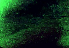 pov juliehot33 having intimate amateur encounter up close