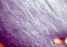 i enjoy a sloppy blowjob on the patio with a big black cock