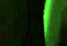 This Pawg With Hairy Pussy Delivers Intense Blowjob in Pov