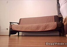 हेल येस! पिज़्ज़ा मैन बड़ी गैंड वाली मिल्फ को बेयरबैक क्रीमपाई देता