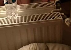 French Round Ass Doggy Style