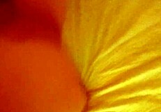 My Roommate Gets Doggy Style Sex