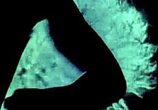 vintage lesbians explore retro themes