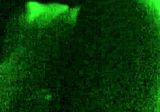 नॉटी एनवी का फुटजॉब कमशॉट से रातभर मस्ती, रुक ही नहीं सकते!