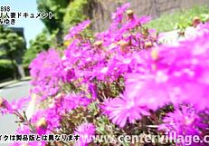 Watch this asian wife get her first creampie in the documentary