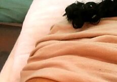 dozier313 shares homemade outdoor ebony bbw video