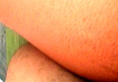 dozier313 shares homemade outdoor ebony bbw video