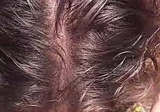 Intense amateur blowjob leads to doggy fuck in the bush