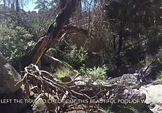 ट्रेल पर वो चूसती और निगलती है