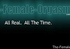 स्वीडिश मिल्फ कांपती चूत से सोलो मुठ मारकर ऑर्गेज्म लेती है।