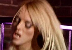 Does Stacey Saran Prefer Bareback Anal Outdoors?