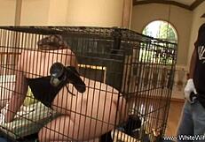 देखो इस पॉग को बीबीसी से चोदा जा रहा?